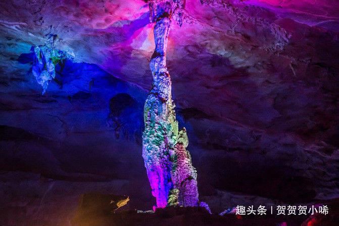 平南“荟味龚州”区域公用品牌发布会举办