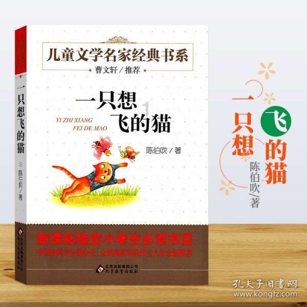 我的世界羽毛球